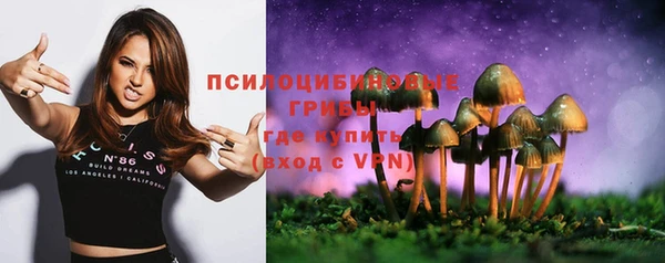 ALPHA PVP Арсеньев