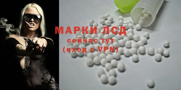 ешки Аркадак