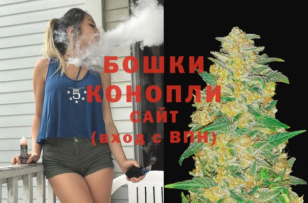 ешки Аркадак