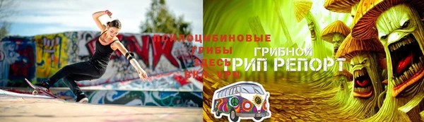 ешки Аркадак