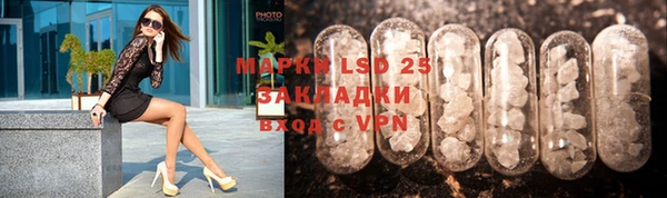 ешки Аркадак