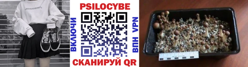 площадка формула  Узловая  Псилоцибиновые грибы GOLDEN TEACHER  где найти  
