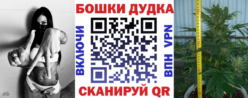 Канабис White Widow  Узловая 